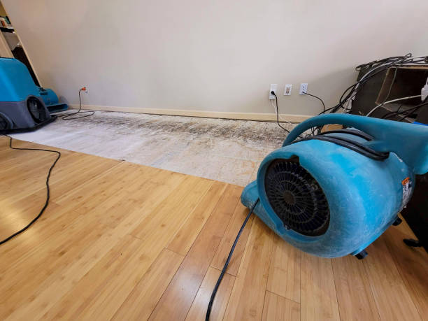 Reliable Basement Flood Cleanup contractor in Oakland, RI by Hirex Water Damage