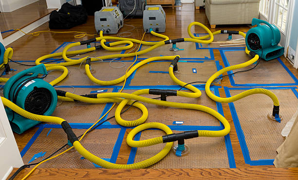 Professional Basement Flood Cleanup technician working in Oakland, RI
